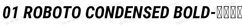 01 ROBOTO CONDENSED BOLD字体转换